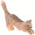 Katze springend
