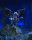 Jabberwocky