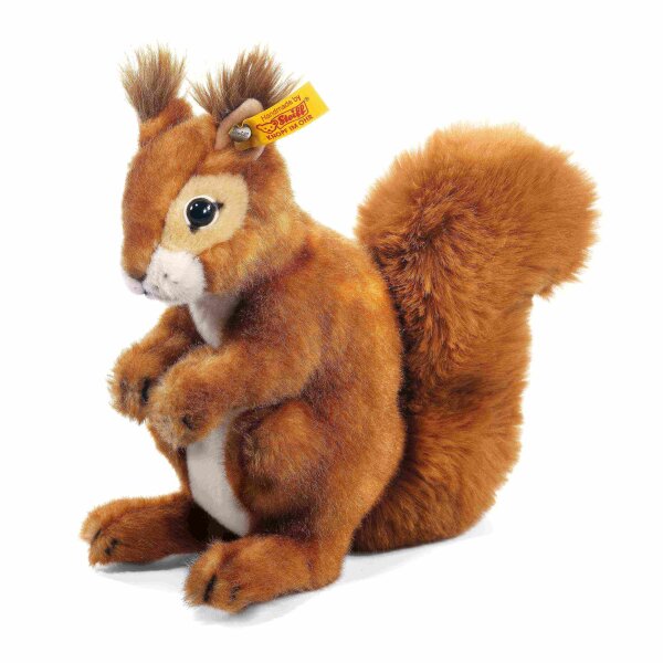 Eichhörnchen