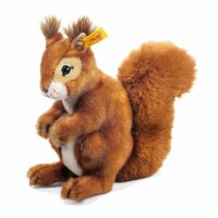 Eichhörnchen