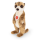 Erdmaennchen