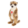 Erdmaennchen