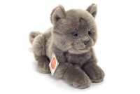 Kartäuserkatze liegend (20cm)