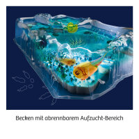 Triops züchten