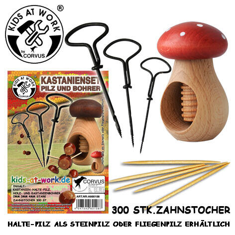 Kastanienset Pilz und Bohrer