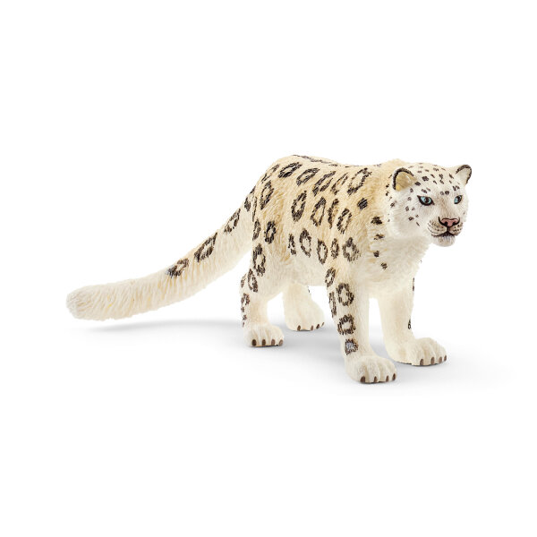Schneeleopard