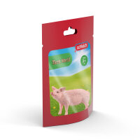 Schwein