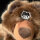 bee Bear Buddy