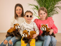Roter Panda