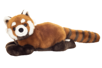 Roter Panda
