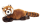 Roter Panda