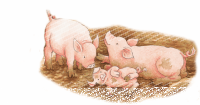 Puzzle Auf dem grossen Bauernhof (40 Teile)