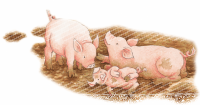Puzzle Auf dem grossen Bauernhof (40 Teile)