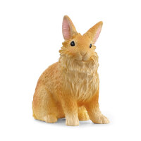 Lapin Lionhead/Löwenkopfkaninchen