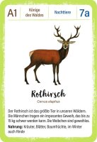 Quartett Waldtiere