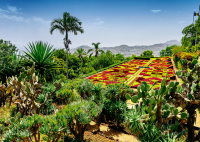 Botanical Garden, Madeira Puzzle (1000 pcs)