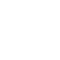 Meerjungfrauengeschichten