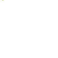Meerjungfrauengeschichten
