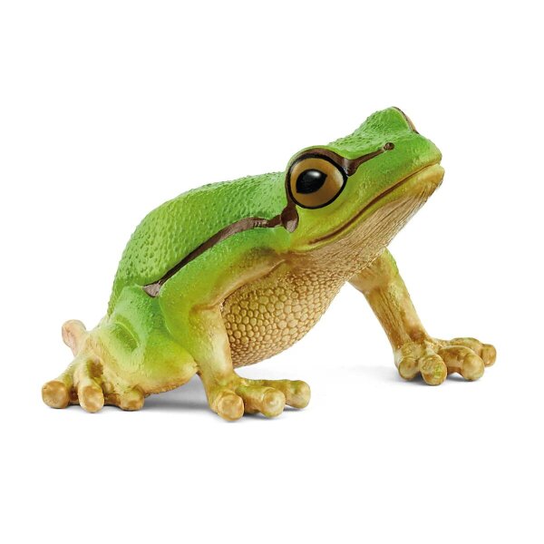Laubfrosch