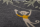 Babydecke Giraffe