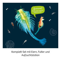 uRZEITKREBSE