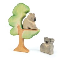 Koala sitzend