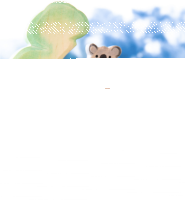 Koala sitzend