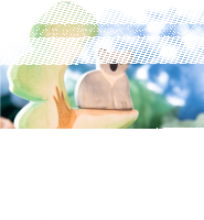 Eukalyptus