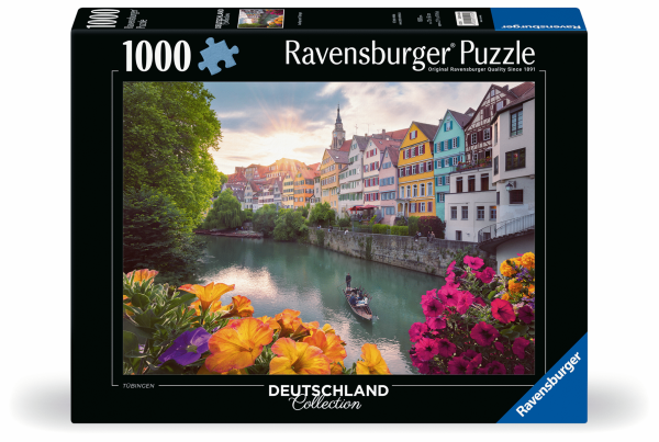 Ausflug nach Tübingen Puzzle (1000 Teile)