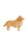 Collie