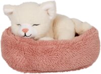 Schlafende Katze Penny  im Korb