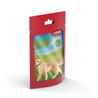 Golden Retriever Hündin