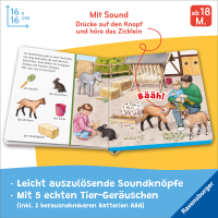 Sachen suchen Sachen hören