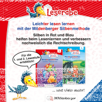 Schulabenteuer zum Lesenlernen