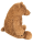 Braunbär James 70 cm
