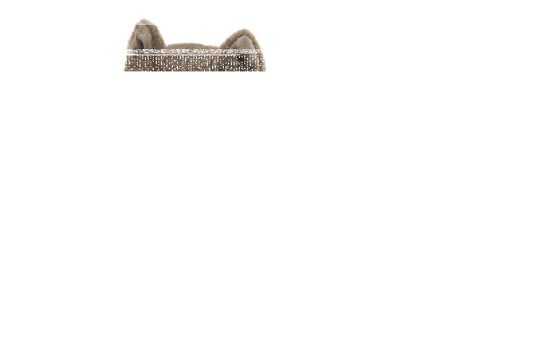 Kartäuserkatze liegend 36cm