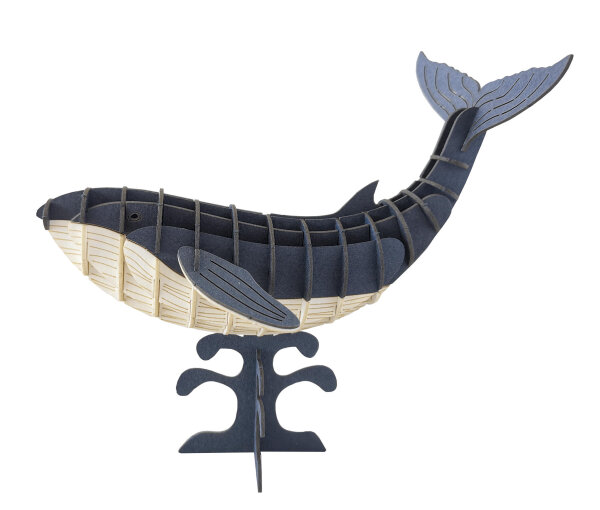 3D Papiermodell Blauwal