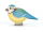 Blaumeise
