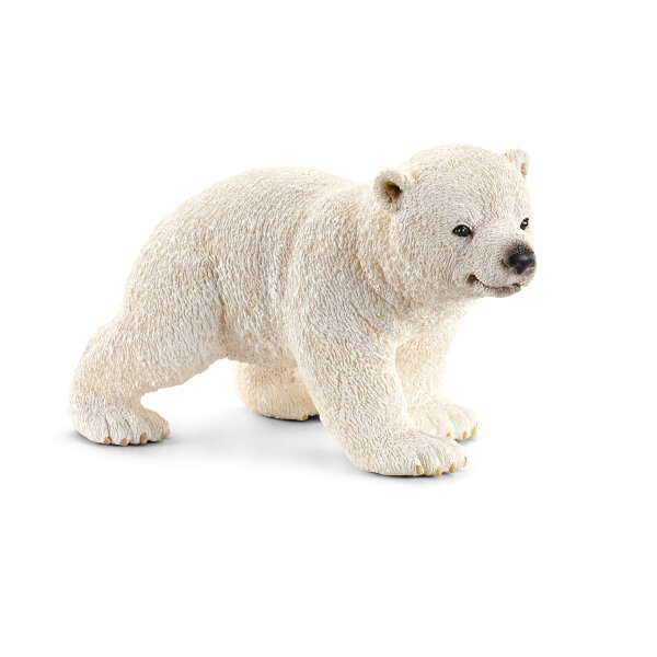 Eisbär junges