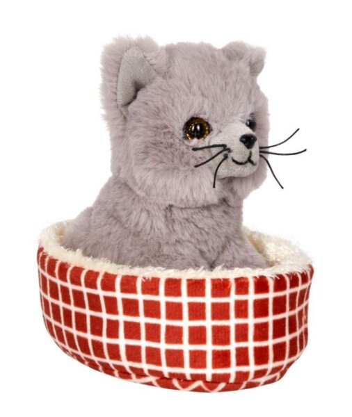 Katze Nala im Korb