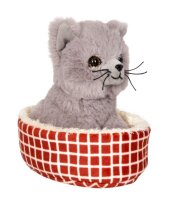 Katze Nala im Korb