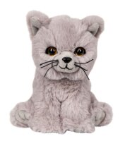 Katze Nala im Korb