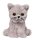 Katze Nala im Korb